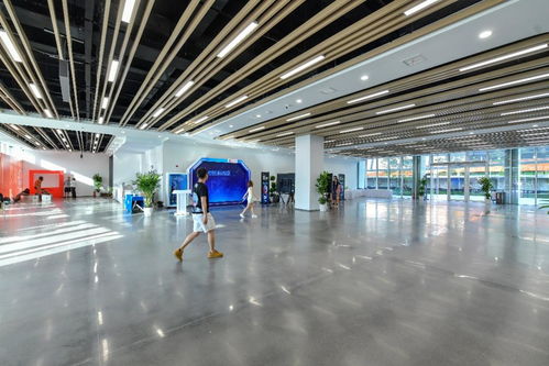 相約湖北 夢(mèng)幻靈境AI展演中心即將開(kāi)館，共探網(wǎng)絡(luò)技術(shù)開(kāi)發(fā)新前沿